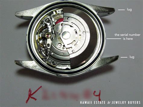 rolex movement serial numbers|Rolex model serial number lookup.